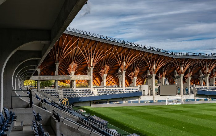 Article Image for Conservation Efforts Linked to Sporting Venues