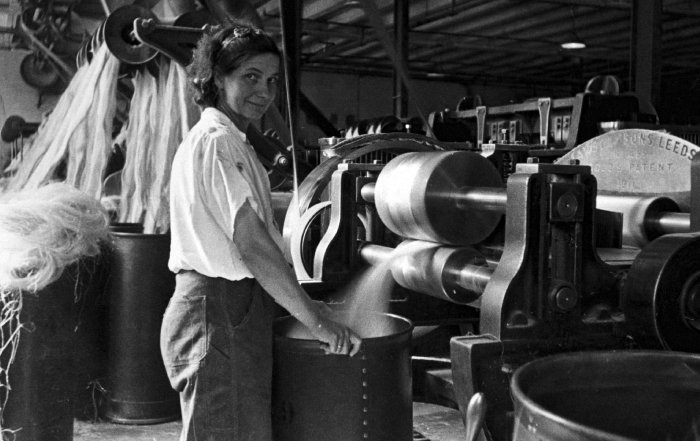 Article Image for Employment Trends Influenced by Automation