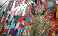 Article Image for Global Events Shaping Public Awareness and Dialogue