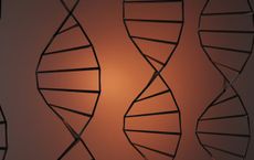 Article Image for How Biotechnology Could Redefine Human Limits