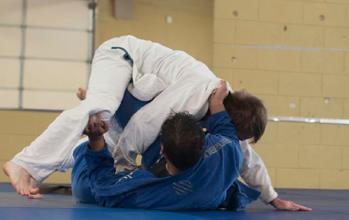 Article Image for How Traditional Martial Arts Adapt for Modern Fitness