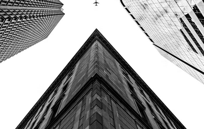 Article Image for Purpose-Driven Companies Leading Modern Markets