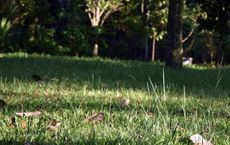 Article Image for Sustainable Living as a Lifestyle Movement