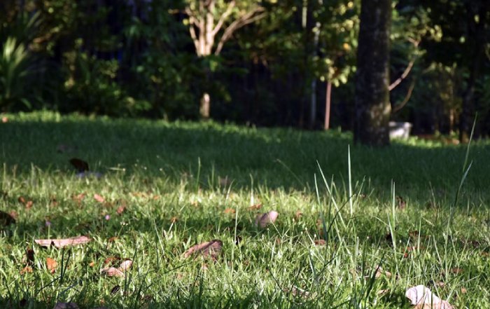 Article Image for Sustainable Living as a Lifestyle Movement