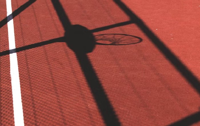 Article Image for Sustainable Practices Transforming Major Sports Leagues