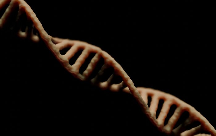 Article Image for The Ethics of Genetic Training Enhancements