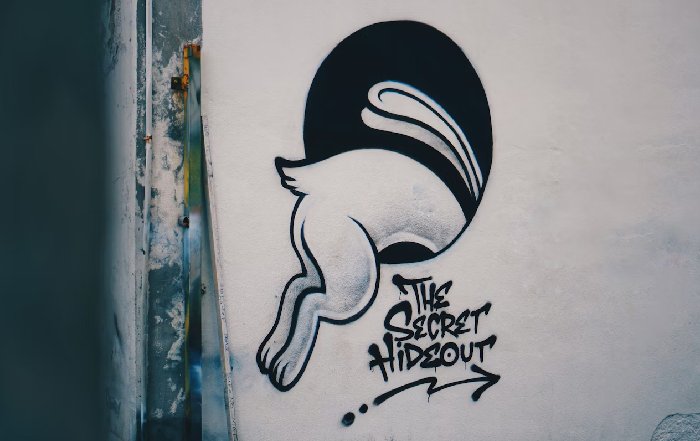 Article Image for The Intersection of Art and Athletic Expression