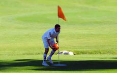 Top 10 Emerging Sports in the United States to Watch